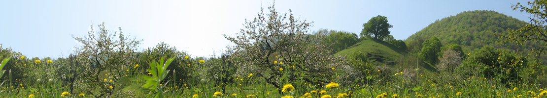 Headerbild Landschaft, Natur